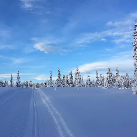 Сasa de vacaciones In With Wifi